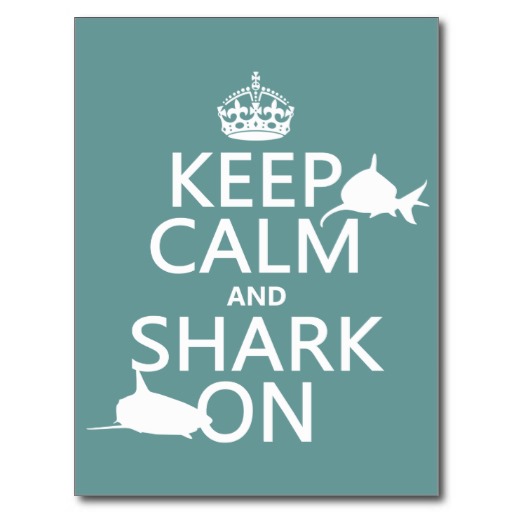 keep calm shark on
